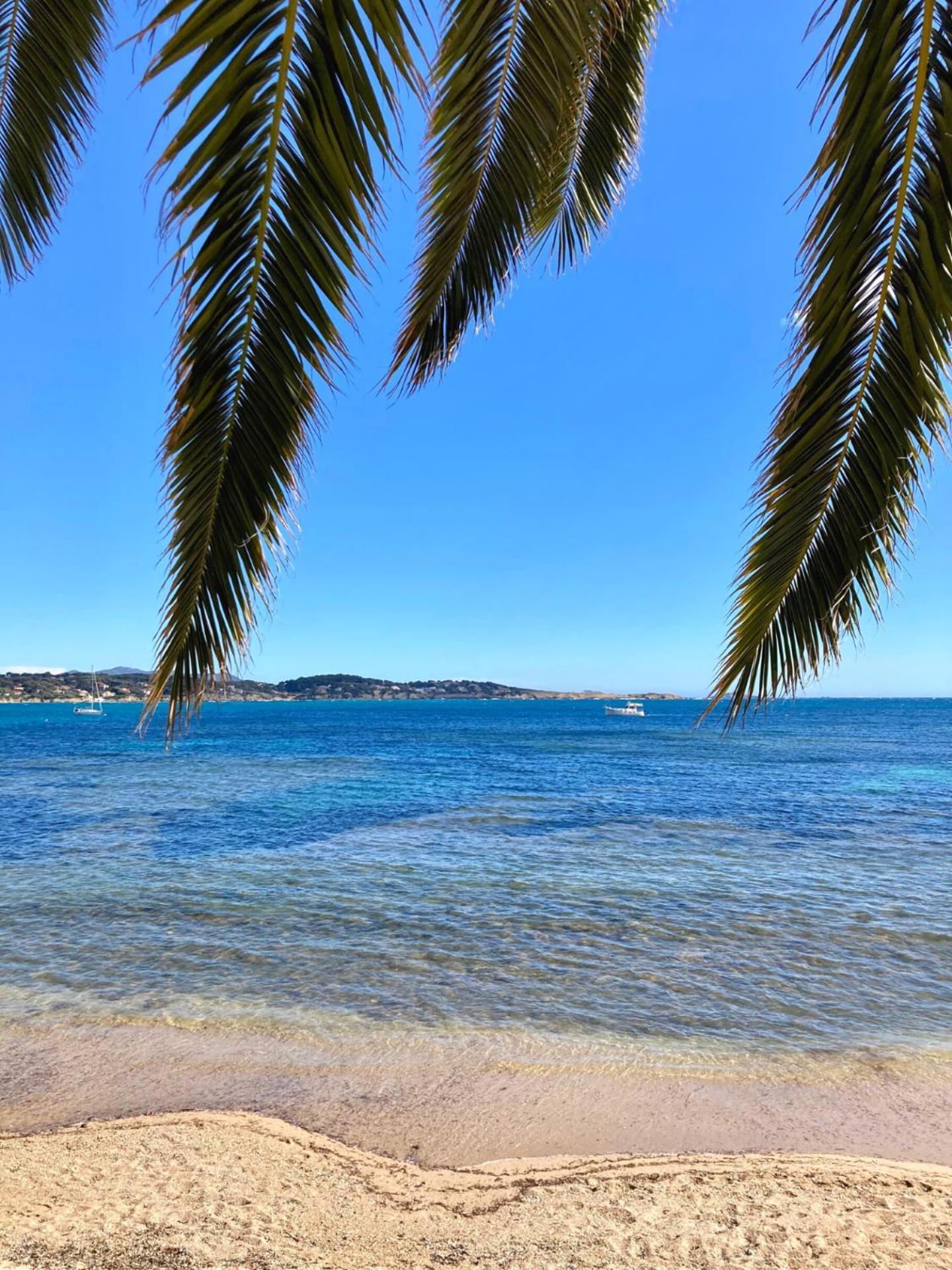 Appartement Coup De Coeur Centre Village Et Plage Climatise 3 Etoiles Terra Cigala Bandol Extérieur photo